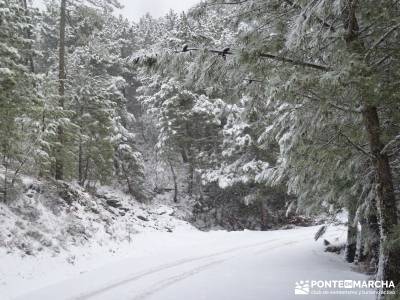 Valle de Iruelas - Pozo de nieve - Cerro de la Encinilla;navarra senderismo rutas a caballo en madri